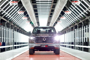 上市即爆款，長(zhǎng)城炮十月銷(xiāo)量突破5020臺(tái)領(lǐng)跑市場(chǎng)